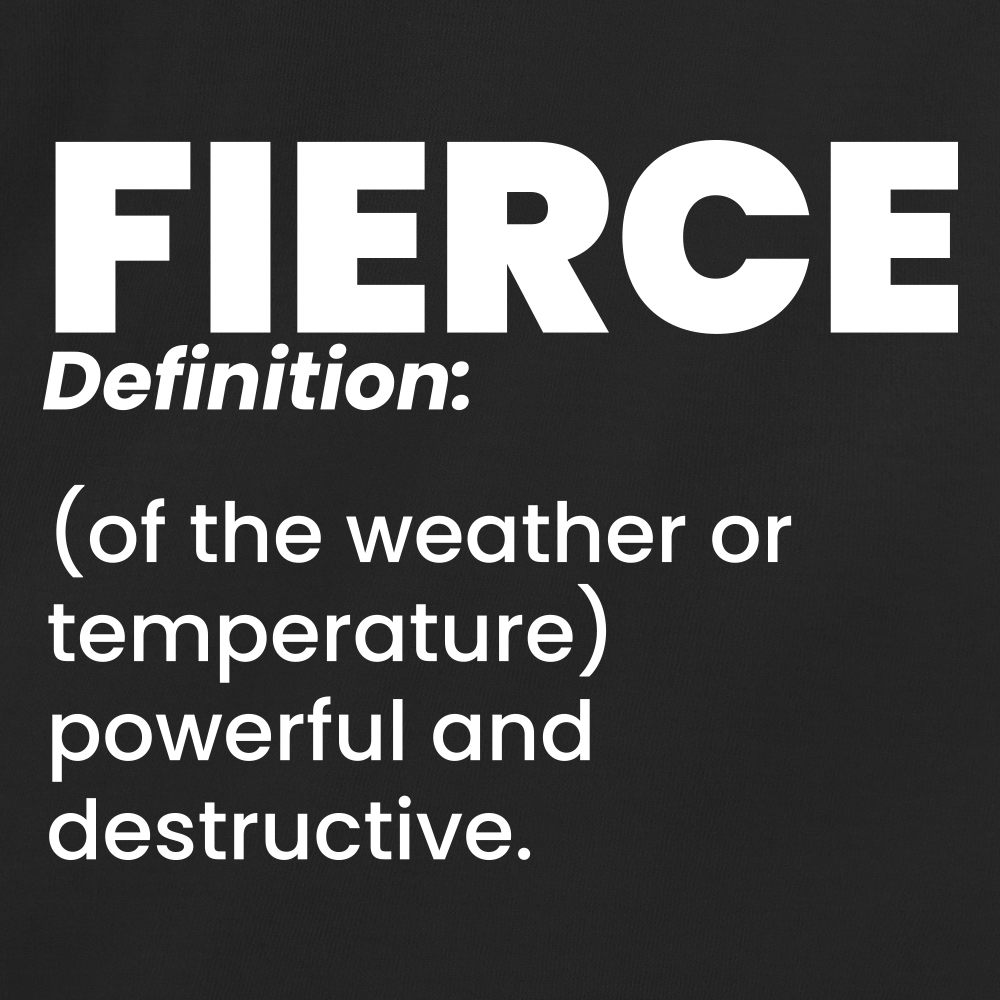 Fierce definition